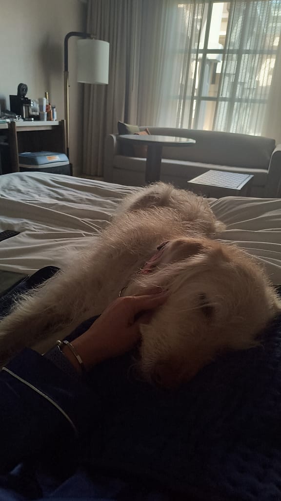 - Morgan Plantagenet: Ancestral Cryptology and Genetic Cartography News