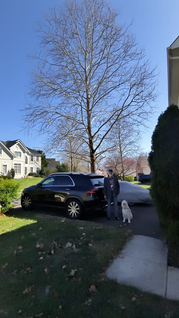 - Morgan Plantagenet: Ancestral Cryptology and Genetic Cartography News