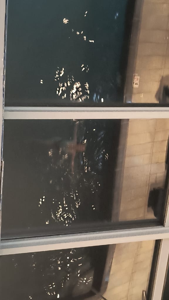 - Morgan Plantagenet: Ancestral Cryptology and Genetic Cartography News