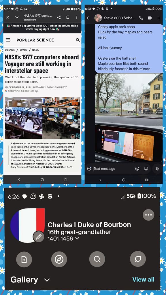 - Morgan Plantagenet: Ancestral Cryptology and Genetic Cartography News