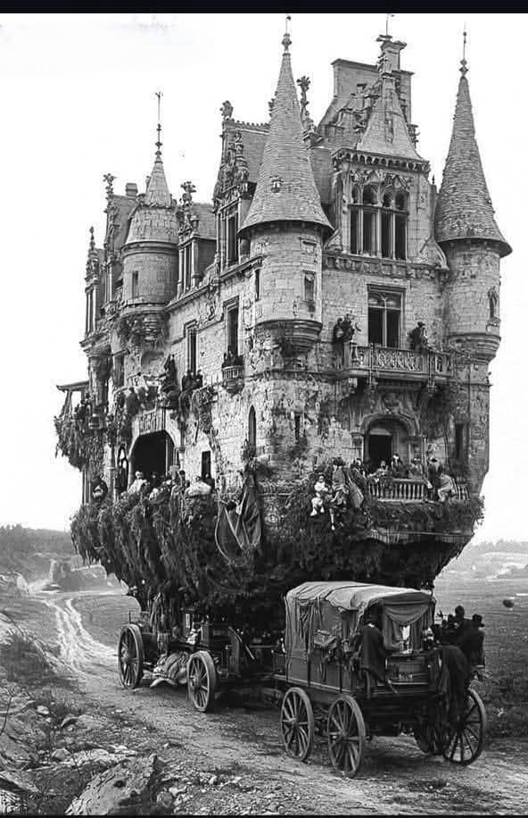 1000042653 - Morgan Plantagenet: Ancestral Cryptology and Genetic Cartography News 1000042653