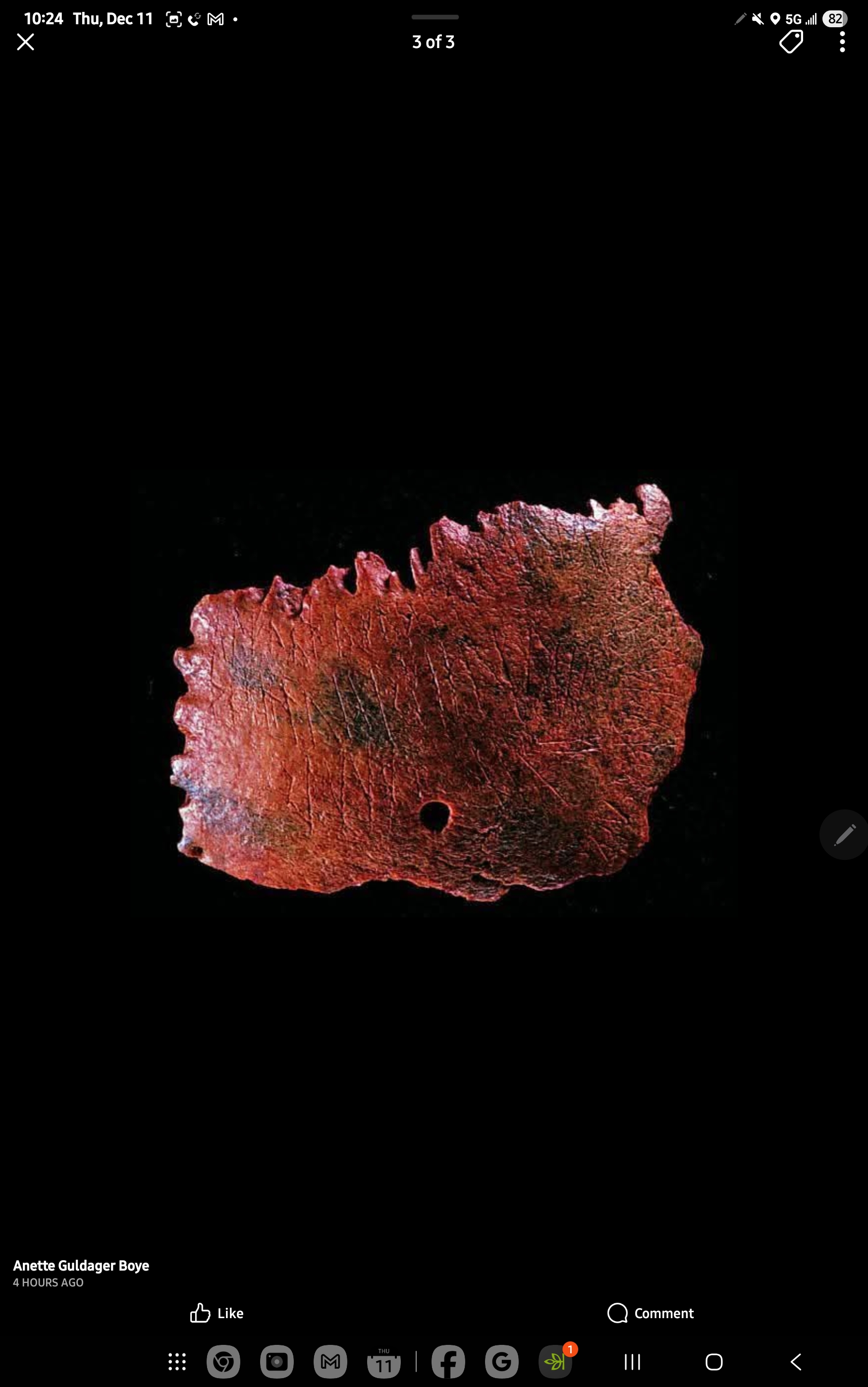 - Morgan Plantagenet: Ancestral Cryptology and Genetic Cartography News