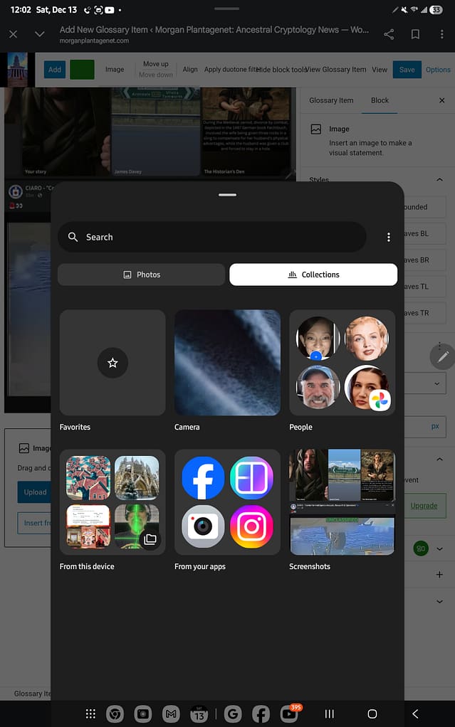 - Morgan Plantagenet: Ancestral Cryptology and Genetic Cartography News