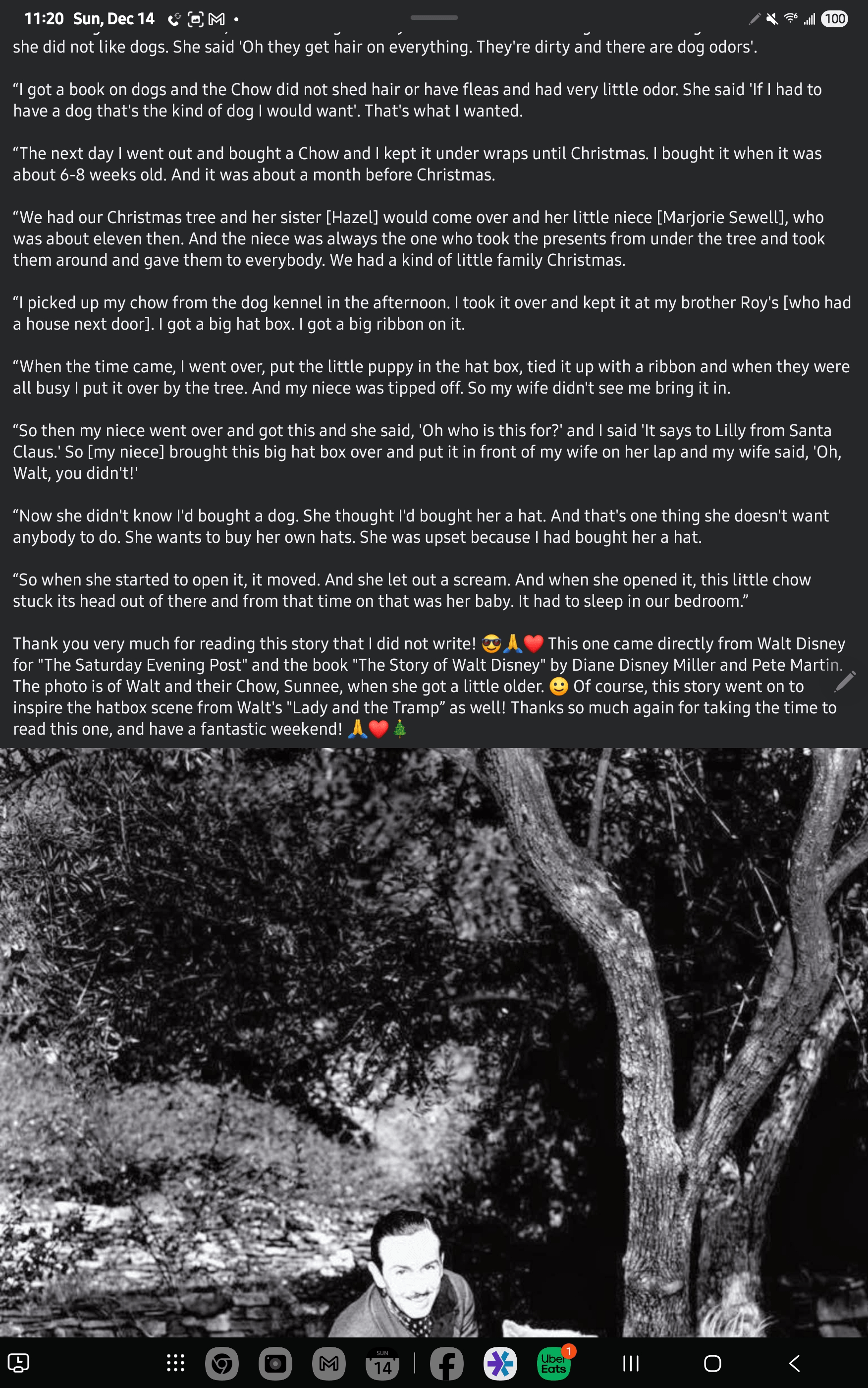 - Morgan Plantagenet: Ancestral Cryptology and Genetic Cartography News