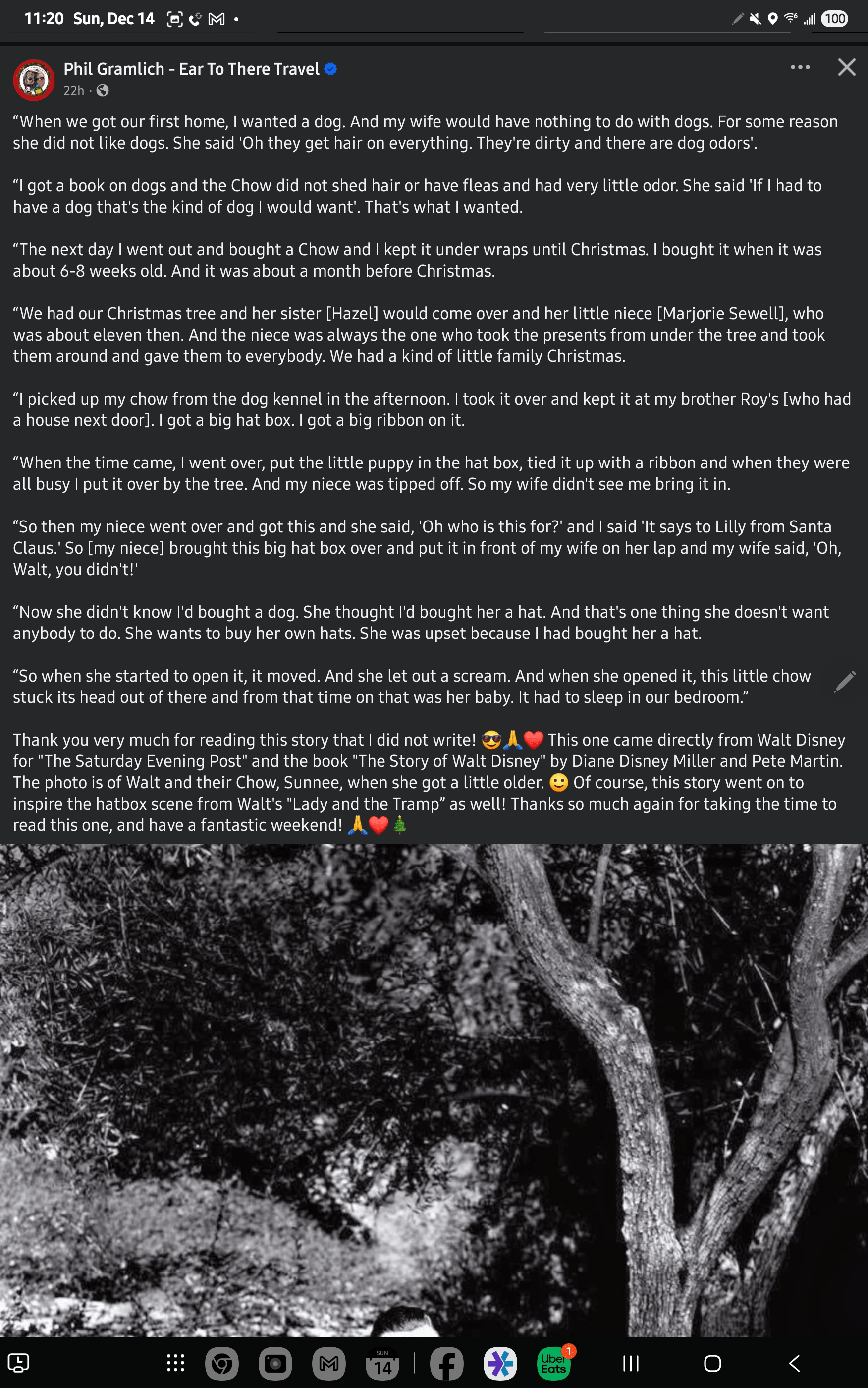 - Morgan Plantagenet: Ancestral Cryptology and Genetic Cartography News