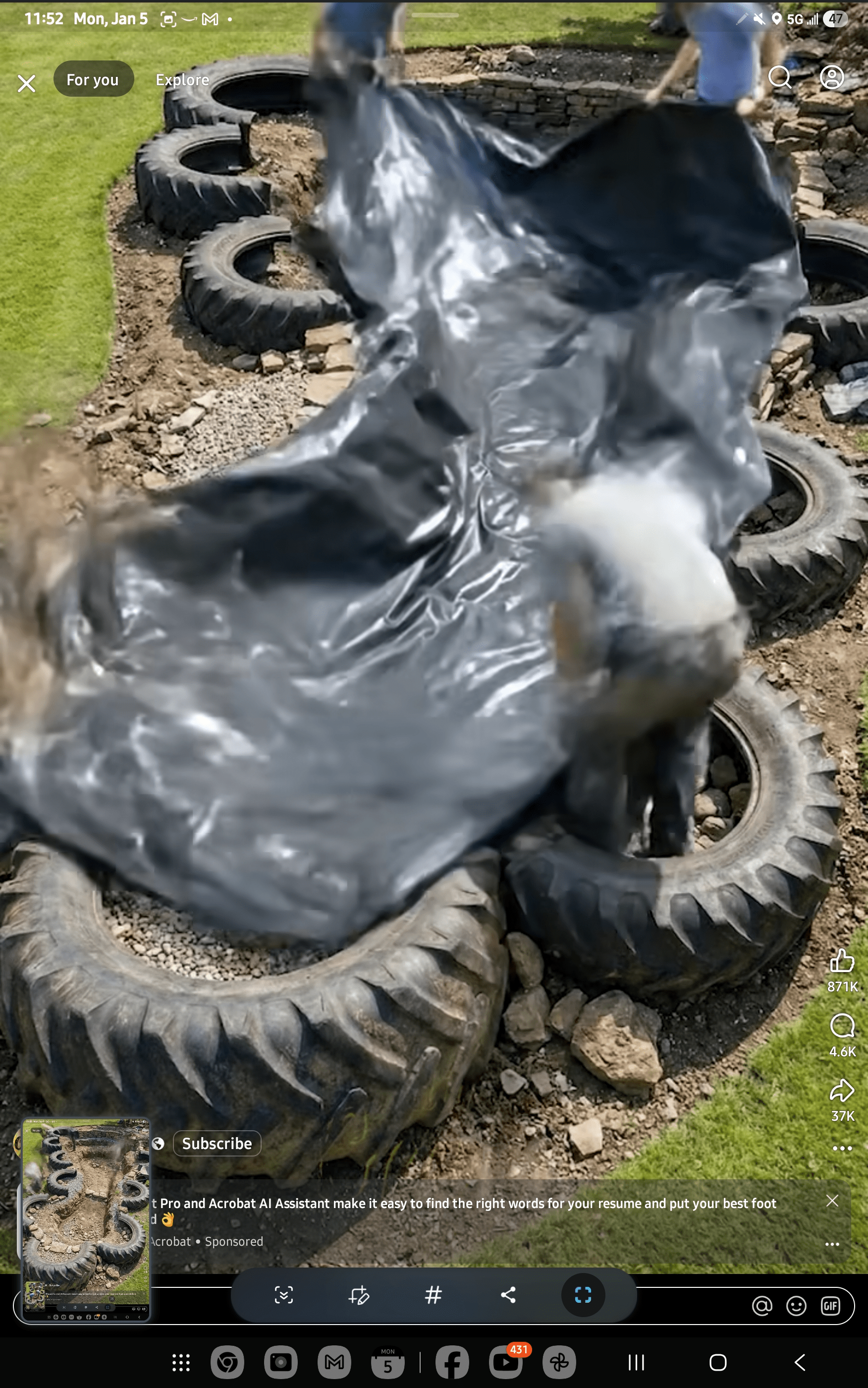 - Morgan Plantagenet: Ancestral Cryptology and Genetic Cartography News