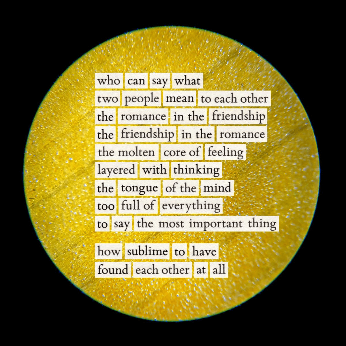 - Morgan Plantagenet: Ancestral Cryptology and Genetic Cartography News