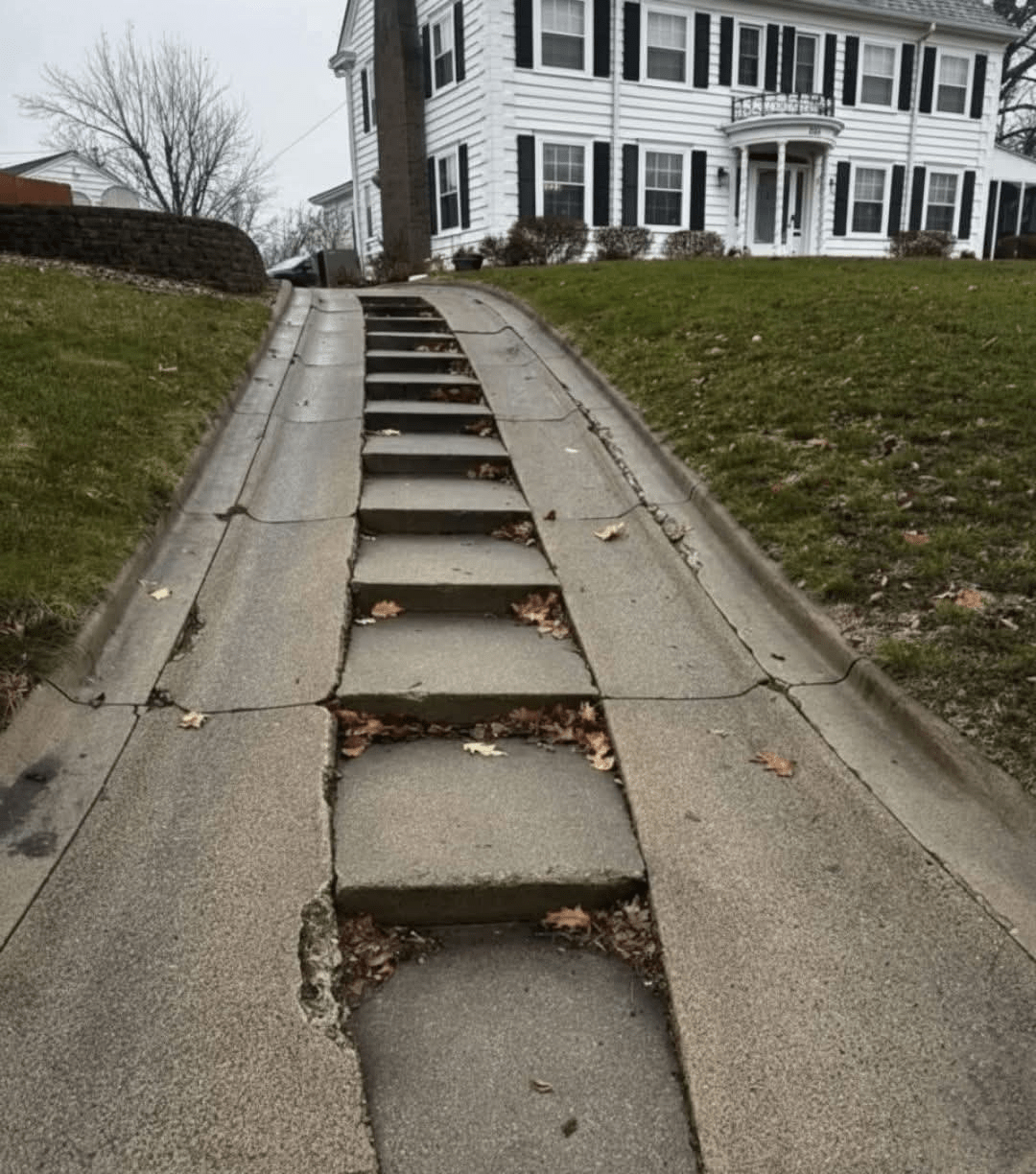 - Morgan Plantagenet: Ancestral Cryptology and Genetic Cartography News