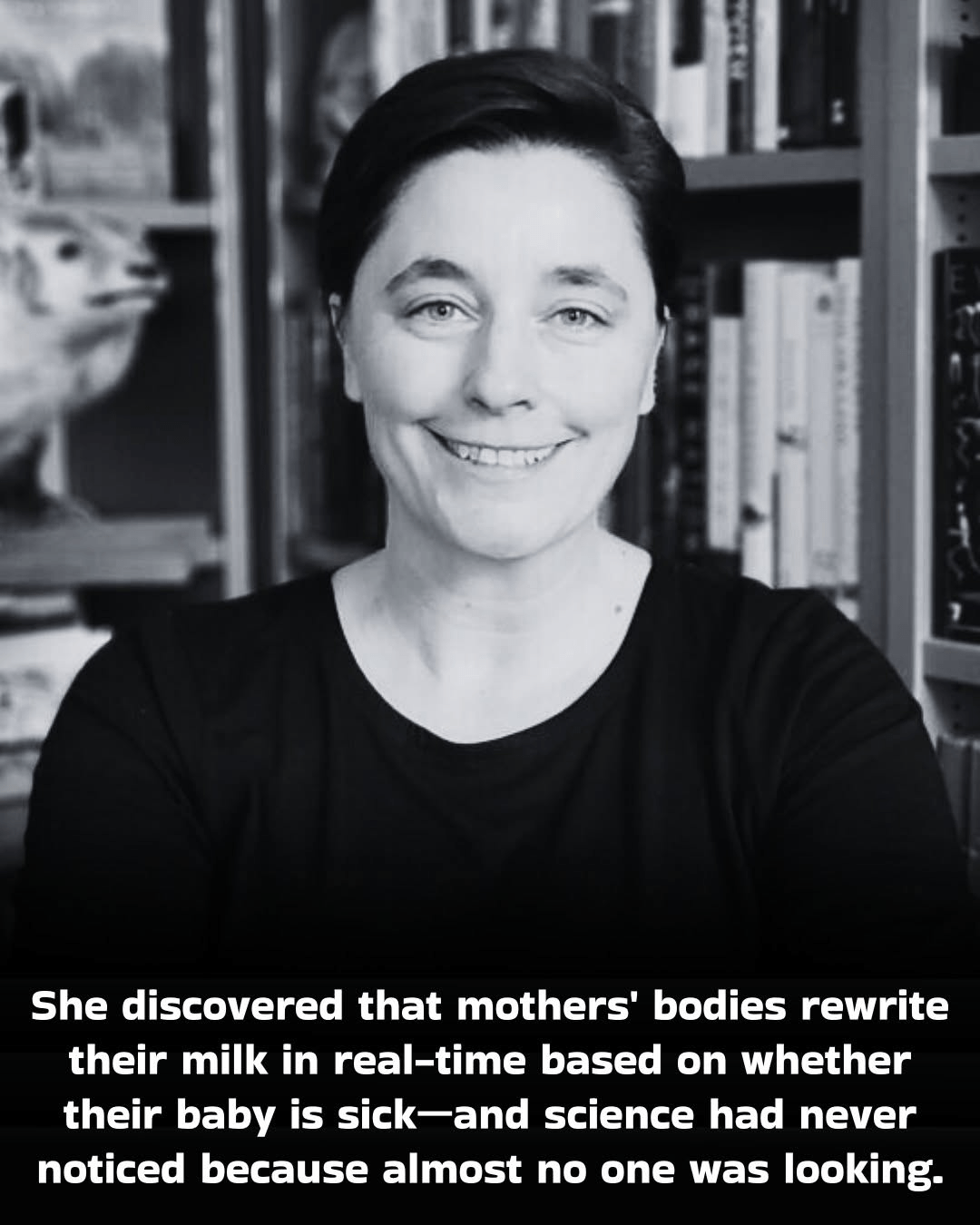 - Morgan Plantagenet: Ancestral Cryptology and Genetic Cartography News