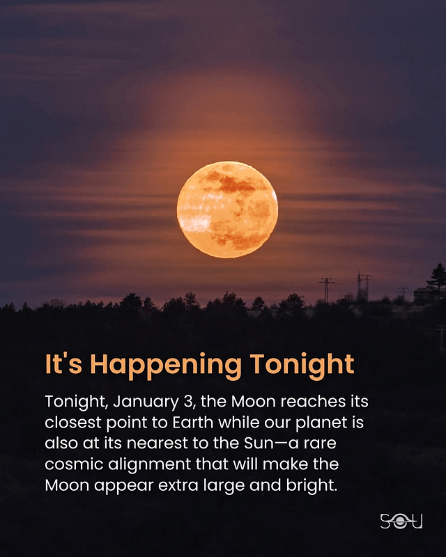 - Morgan Plantagenet: Ancestral Cryptology and Genetic Cartography News