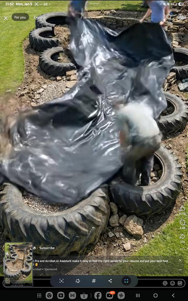 1000044521 - Morgan Plantagenet: Ancestral Cryptology and Genetic Cartography News 1000044521