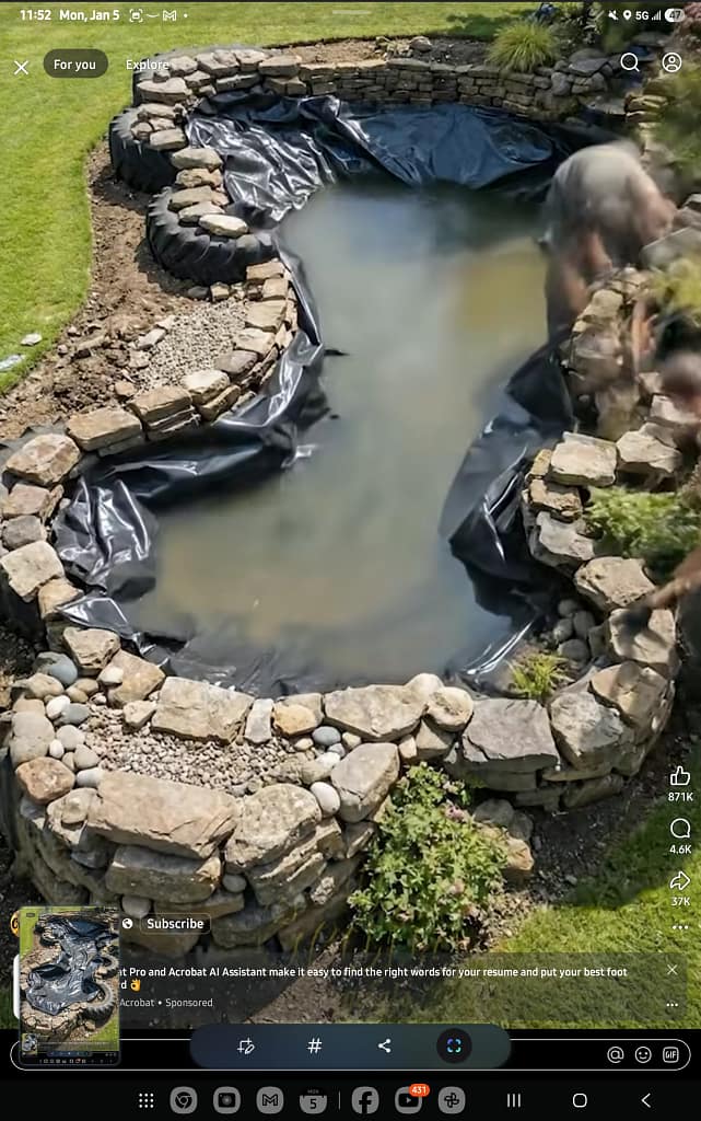 1000044525 - Morgan Plantagenet: Ancestral Cryptology and Genetic Cartography News 1000044525