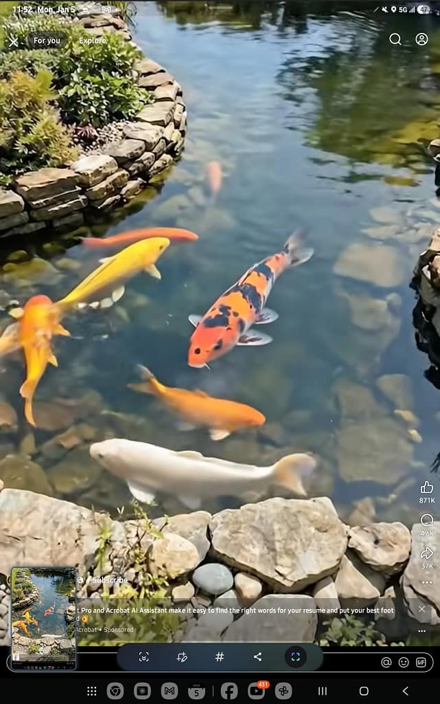 1000044531 - Morgan Plantagenet: Ancestral Cryptology and Genetic Cartography News 1000044531