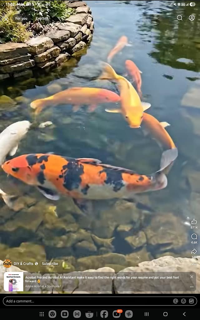 1000044533 - Morgan Plantagenet: Ancestral Cryptology and Genetic Cartography News 1000044533