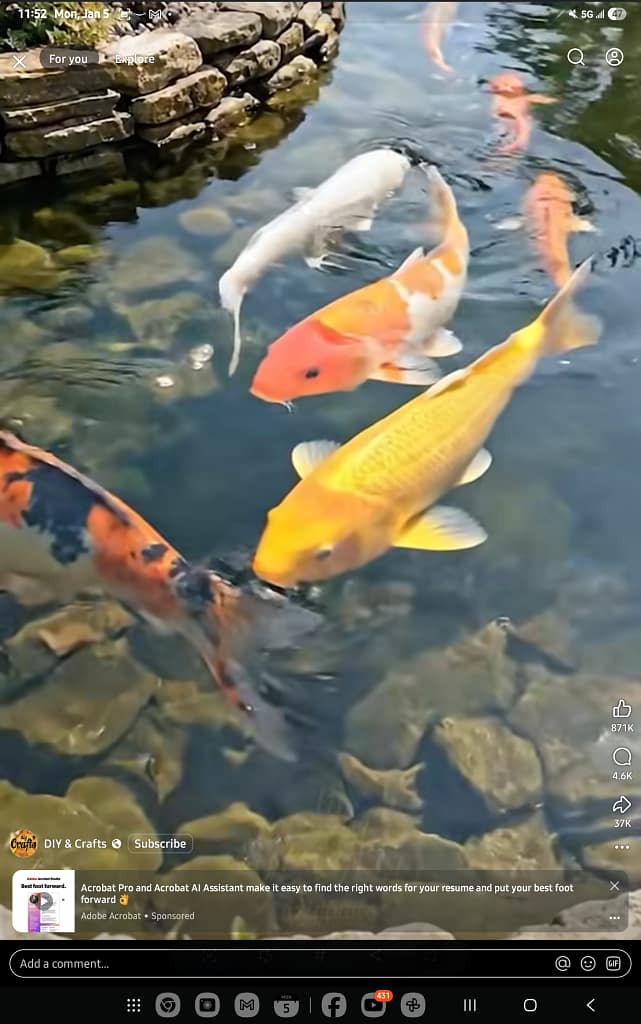 1000044535 - Morgan Plantagenet: Ancestral Cryptology and Genetic Cartography News 1000044535