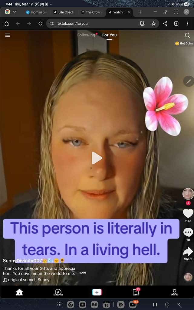 - Morgan Plantagenet: Ancestral Cryptology and Genetic Cartography News