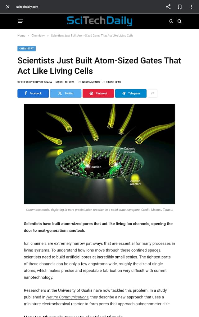 - Morgan Plantagenet: Ancestral Cryptology and Genetic Cartography News