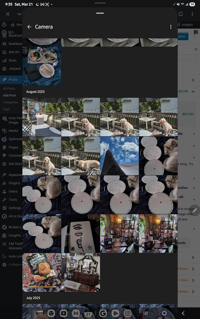 - Morgan Plantagenet: Ancestral Cryptology and Genetic Cartography News