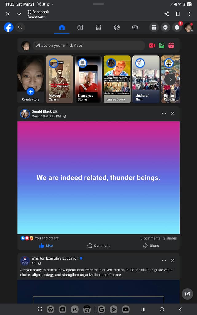 - Morgan Plantagenet: Ancestral Cryptology and Genetic Cartography News