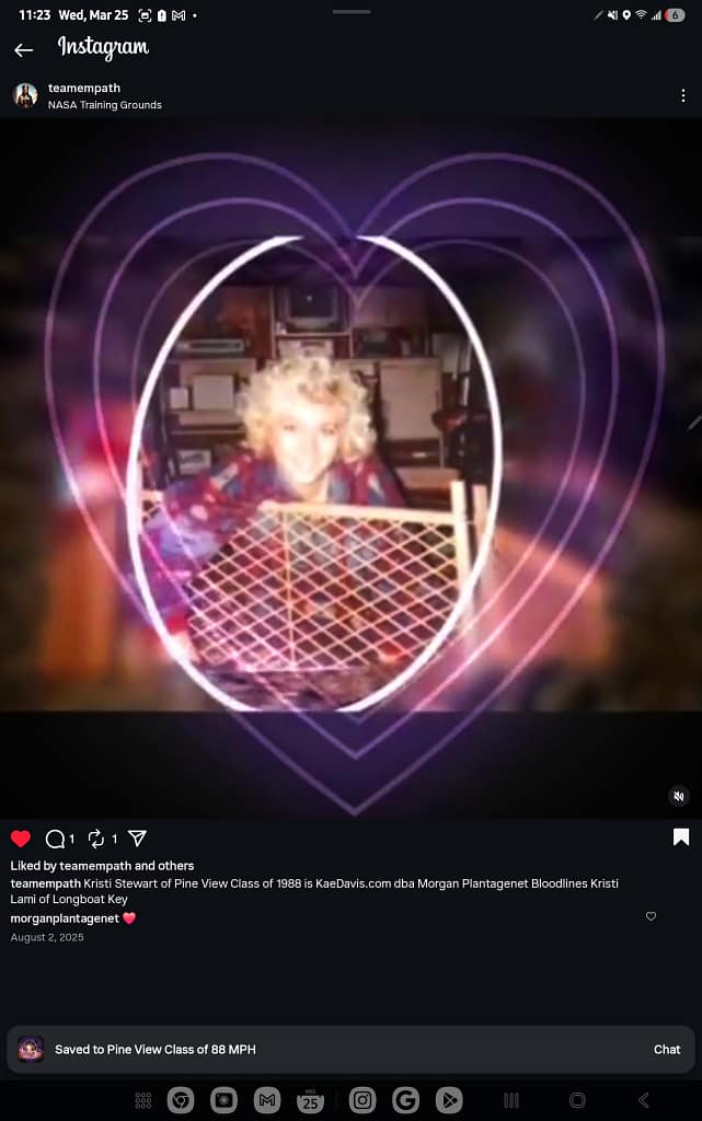 - Morgan Plantagenet: Ancestral Cryptology and Genetic Cartography News