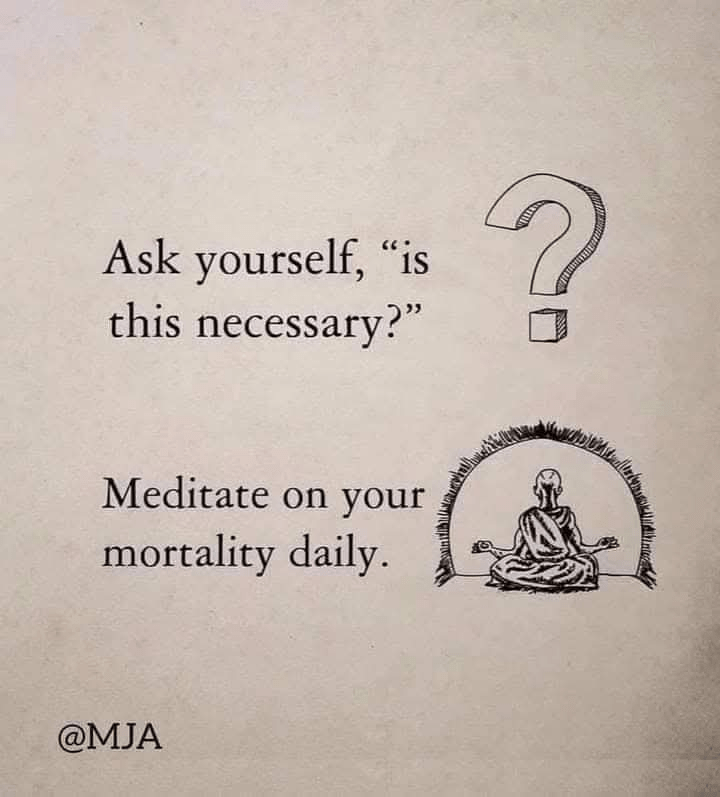 1000040511 - Morgan Plantagenet: Ancestral Cryptology and Genetic Cartography News 1000040511