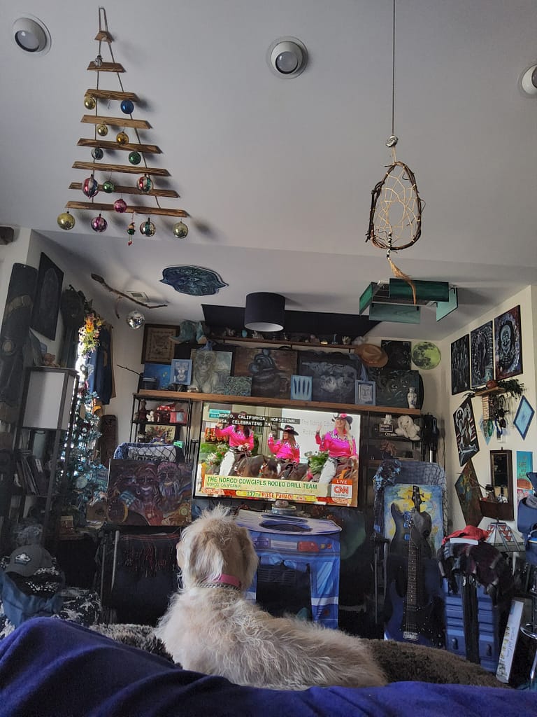 1000044121 - Morgan Plantagenet: Ancestral Cryptology and Genetic Cartography News 1000044121