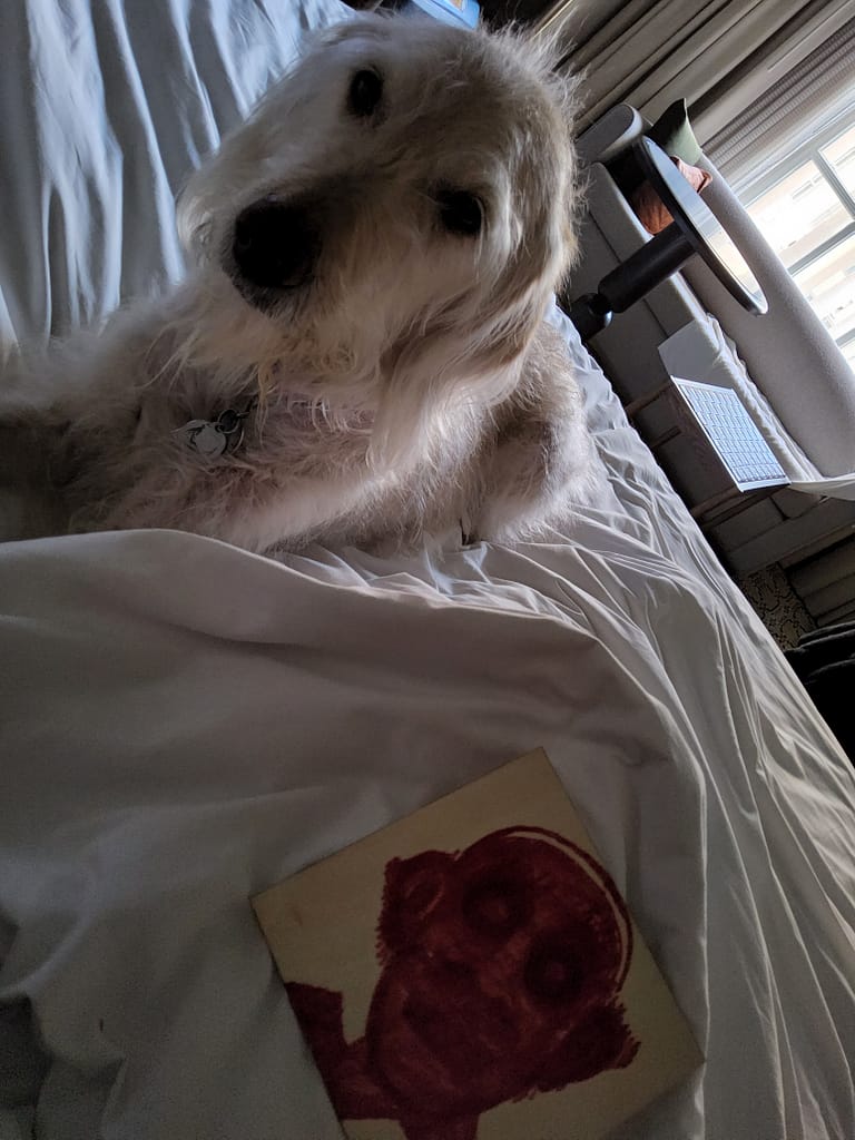 - Morgan Plantagenet: Ancestral Cryptology and Genetic Cartography News