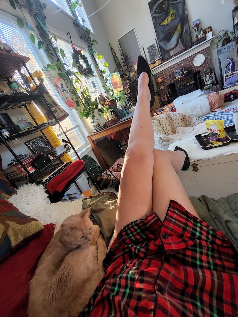 - Morgan Plantagenet: Ancestral Cryptology and Genetic Cartography News