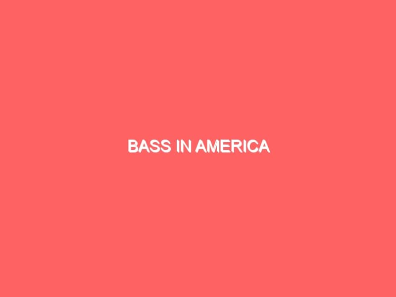 Bass in America