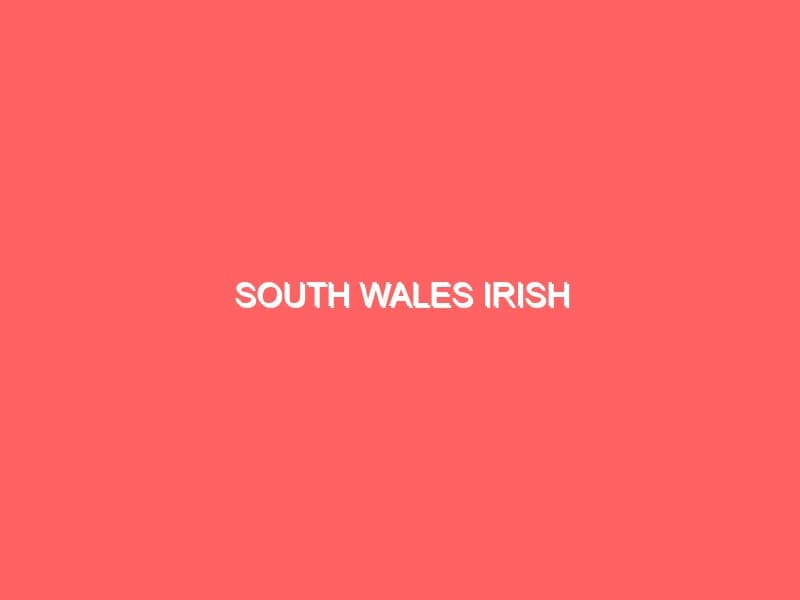 South Wales Irish