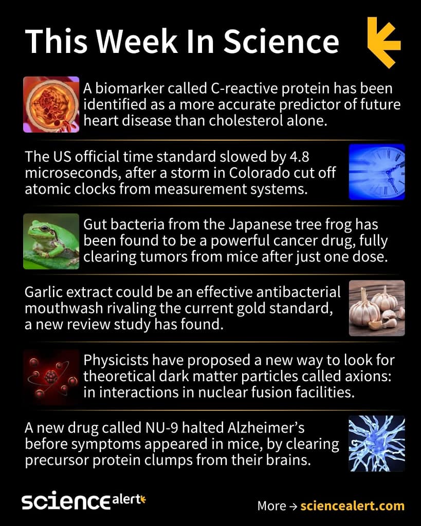 1000043592 - Morgan Plantagenet: Ancestral Cryptology and Genetic Cartography News 1000043592