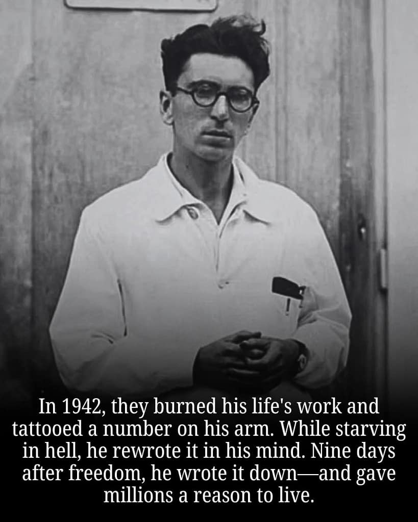 - Morgan Plantagenet: Ancestral Cryptology and Genetic Cartography News