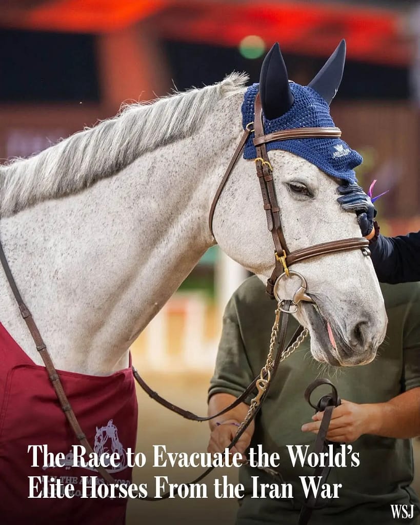 - Morgan Plantagenet: Ancestral Cryptology and Genetic Cartography News