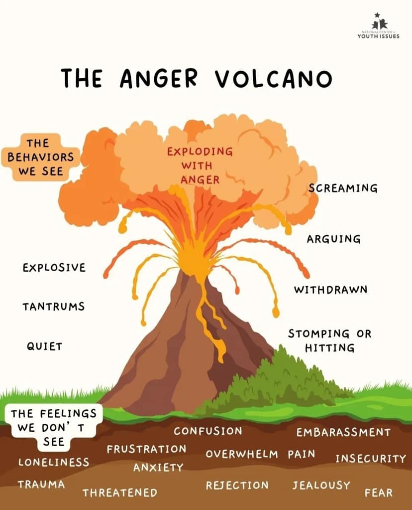 - Morgan Plantagenet: Ancestral Cryptology and Genetic Cartography News