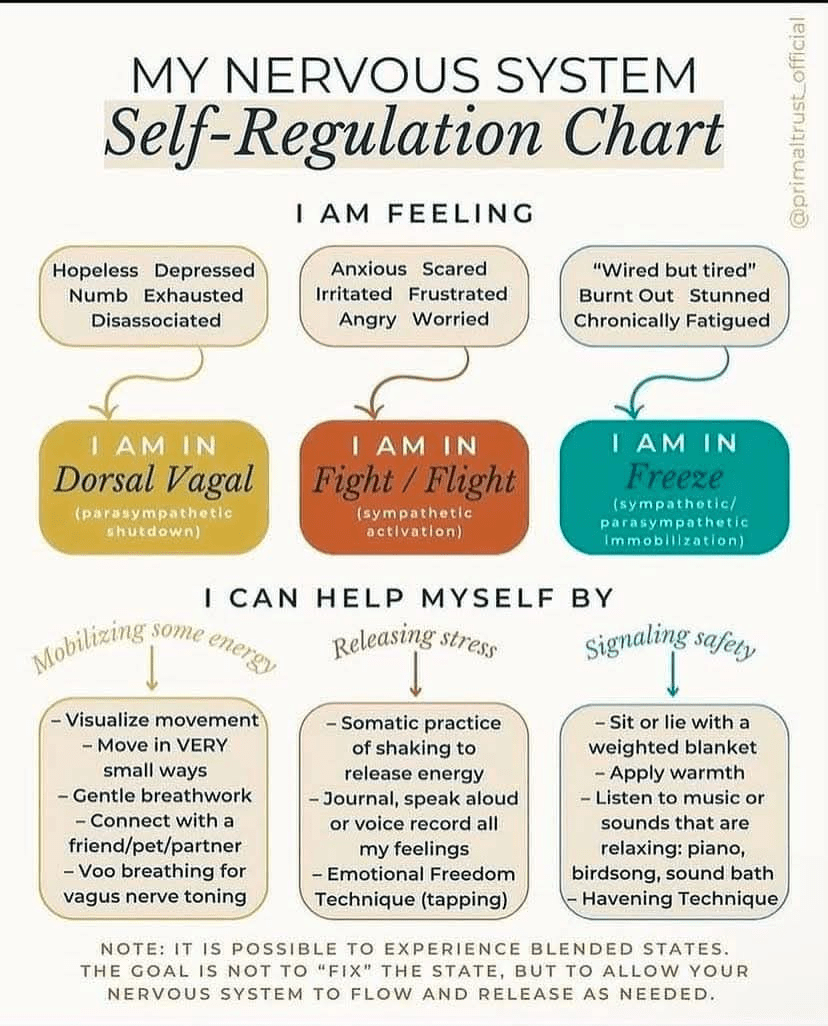1000090703 - Morgan Plantagenet: Ancestral Cryptology and Genetic Cartography News 1000090703