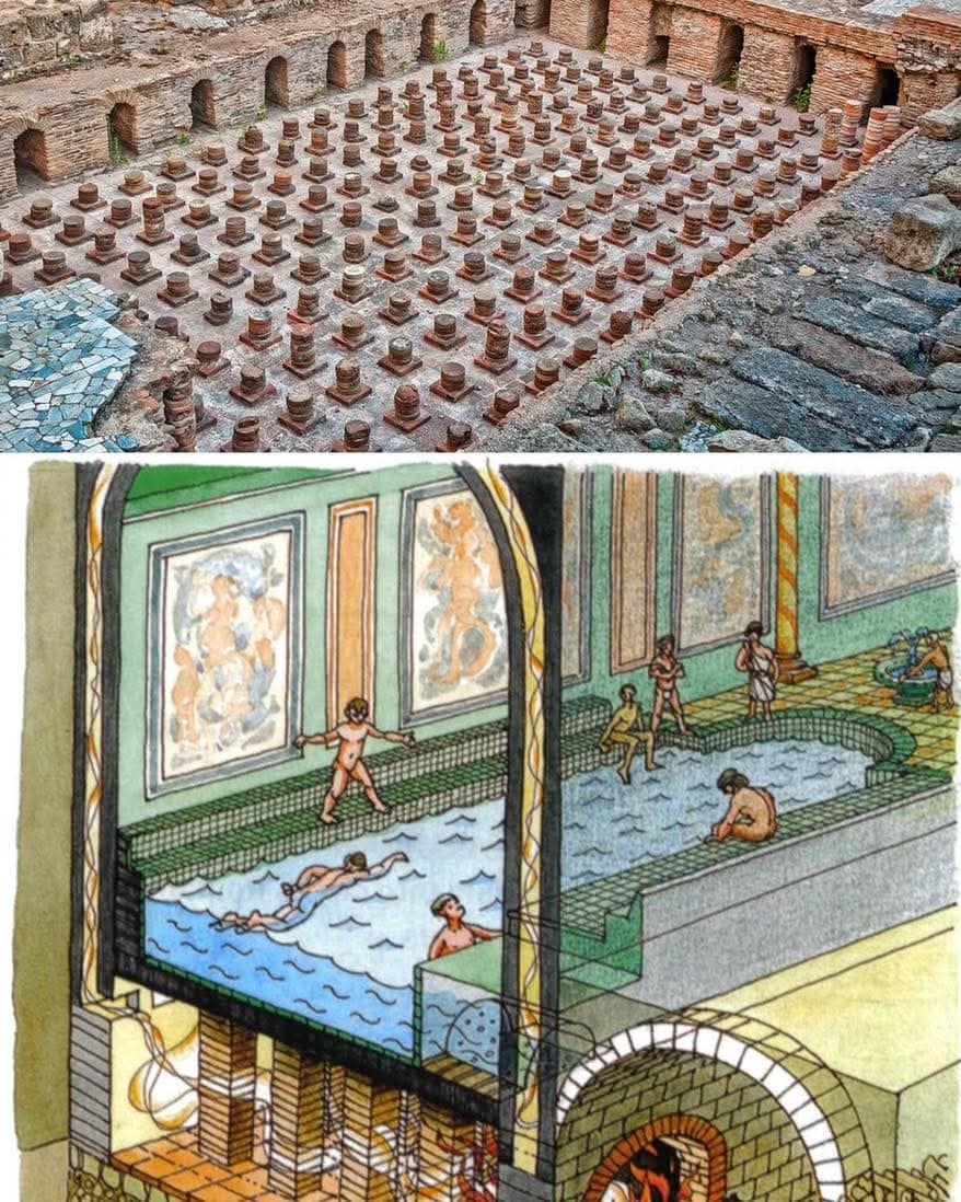 1000039441 - Morgan Plantagenet: Ancestral Cryptology and Genetic Cartography News 1000039441