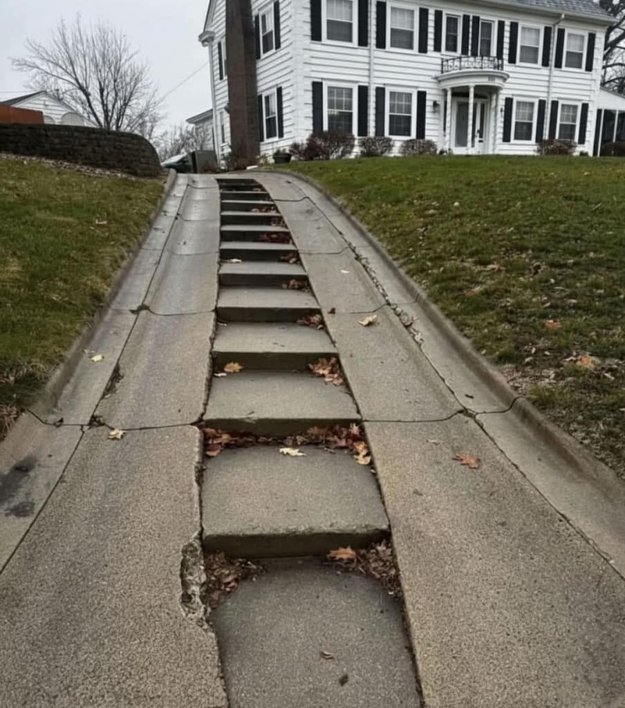 1000041532 - Morgan Plantagenet: Ancestral Cryptology and Genetic Cartography News 1000041532