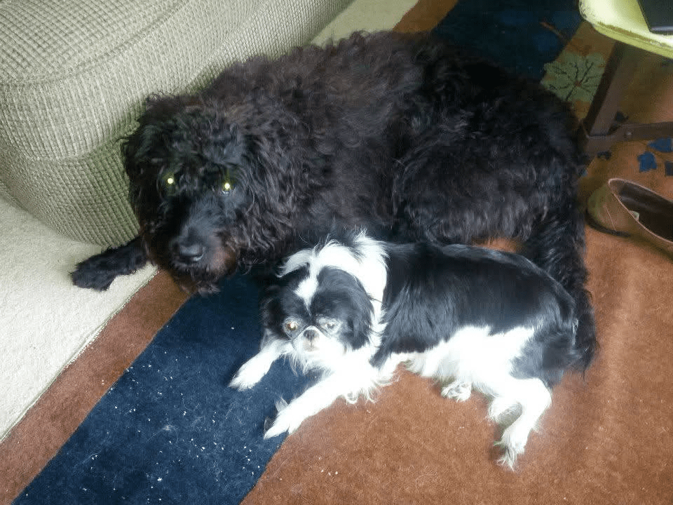 1000039206 - Morgan Plantagenet: Ancestral Cryptology and Genetic Cartography News 1000039206