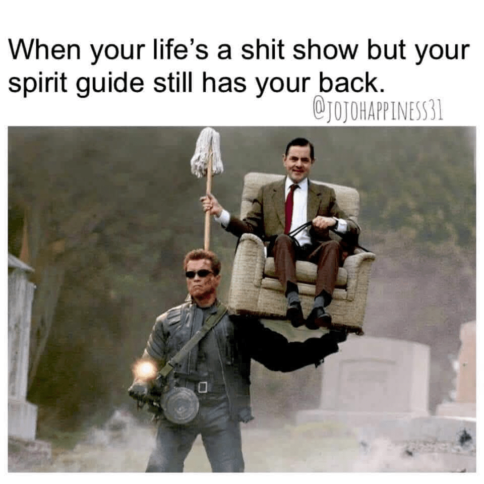 - Morgan Plantagenet: Ancestral Cryptology and Genetic Cartography News