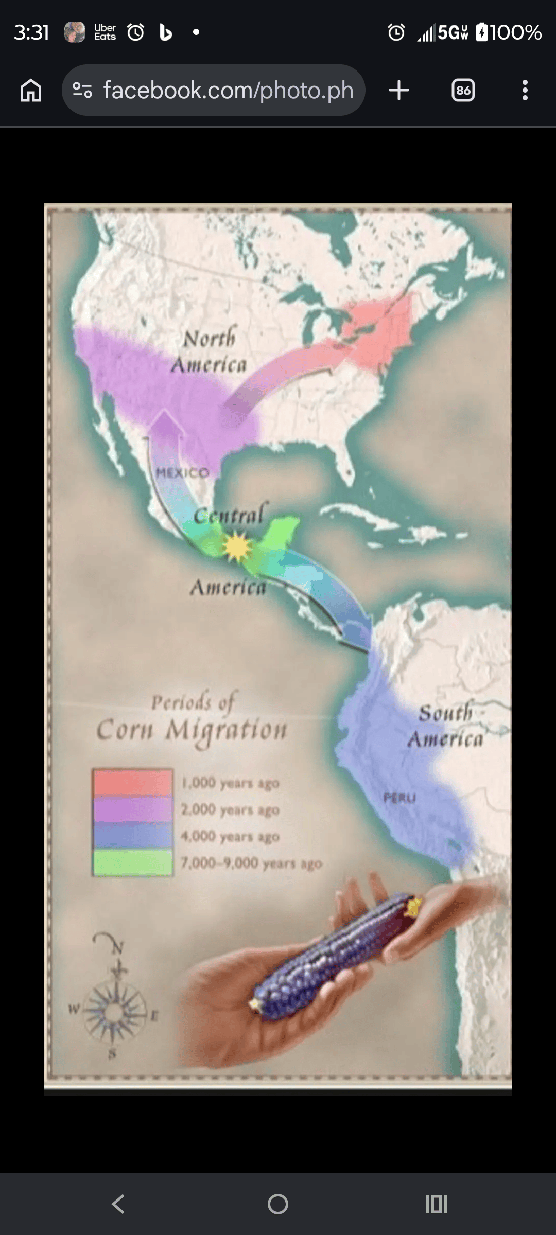 - Morgan Plantagenet: Ancestral Cryptology and Genetic Cartography News