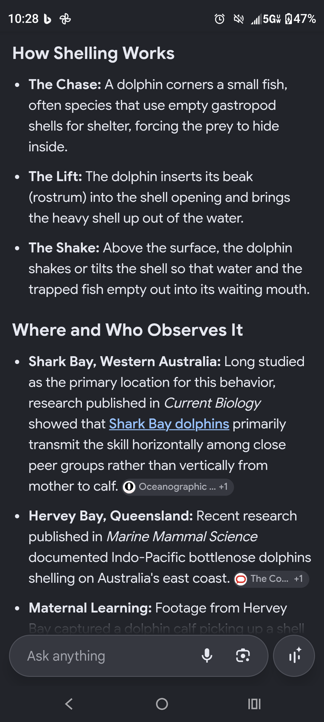 - Morgan Plantagenet: Ancestral Cryptology and Genetic Cartography News