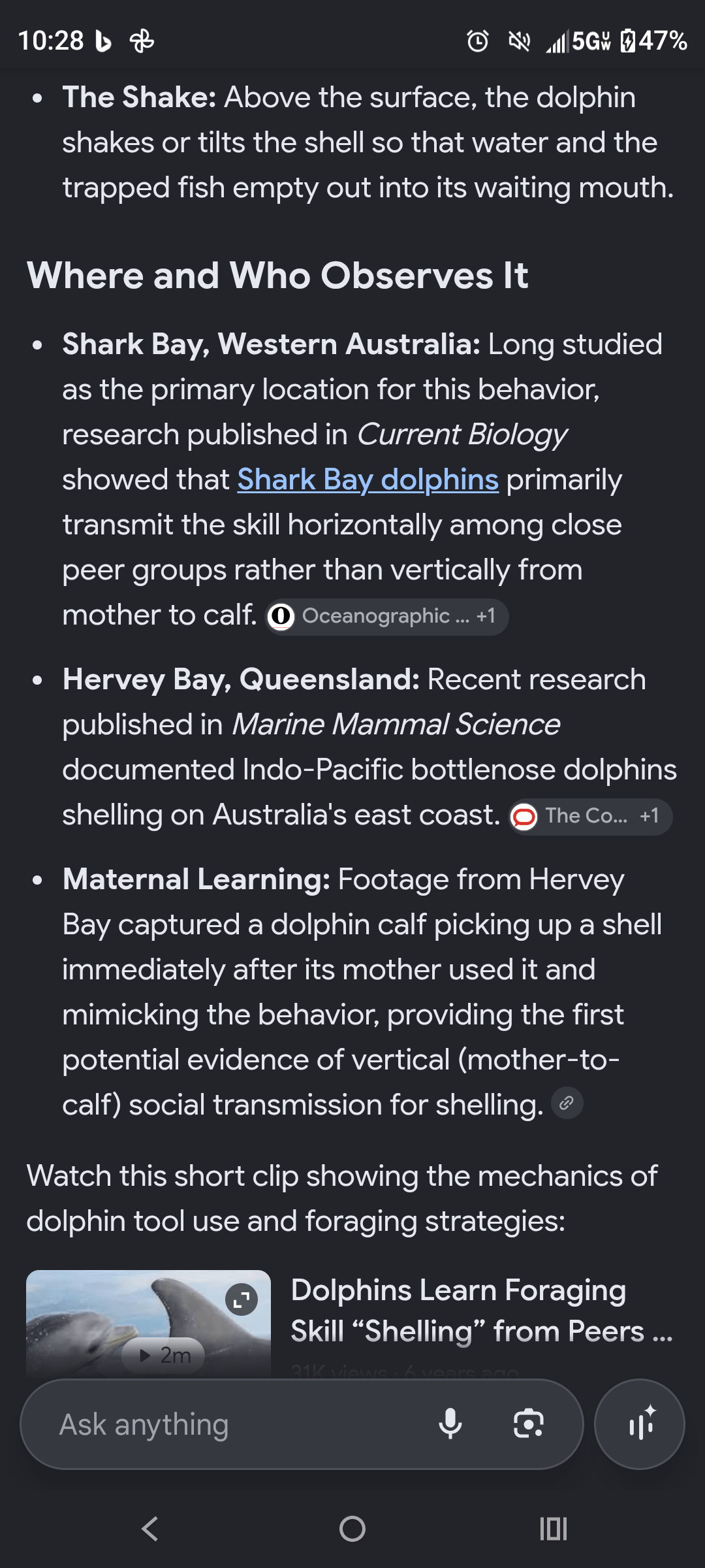 - Morgan Plantagenet: Ancestral Cryptology and Genetic Cartography News