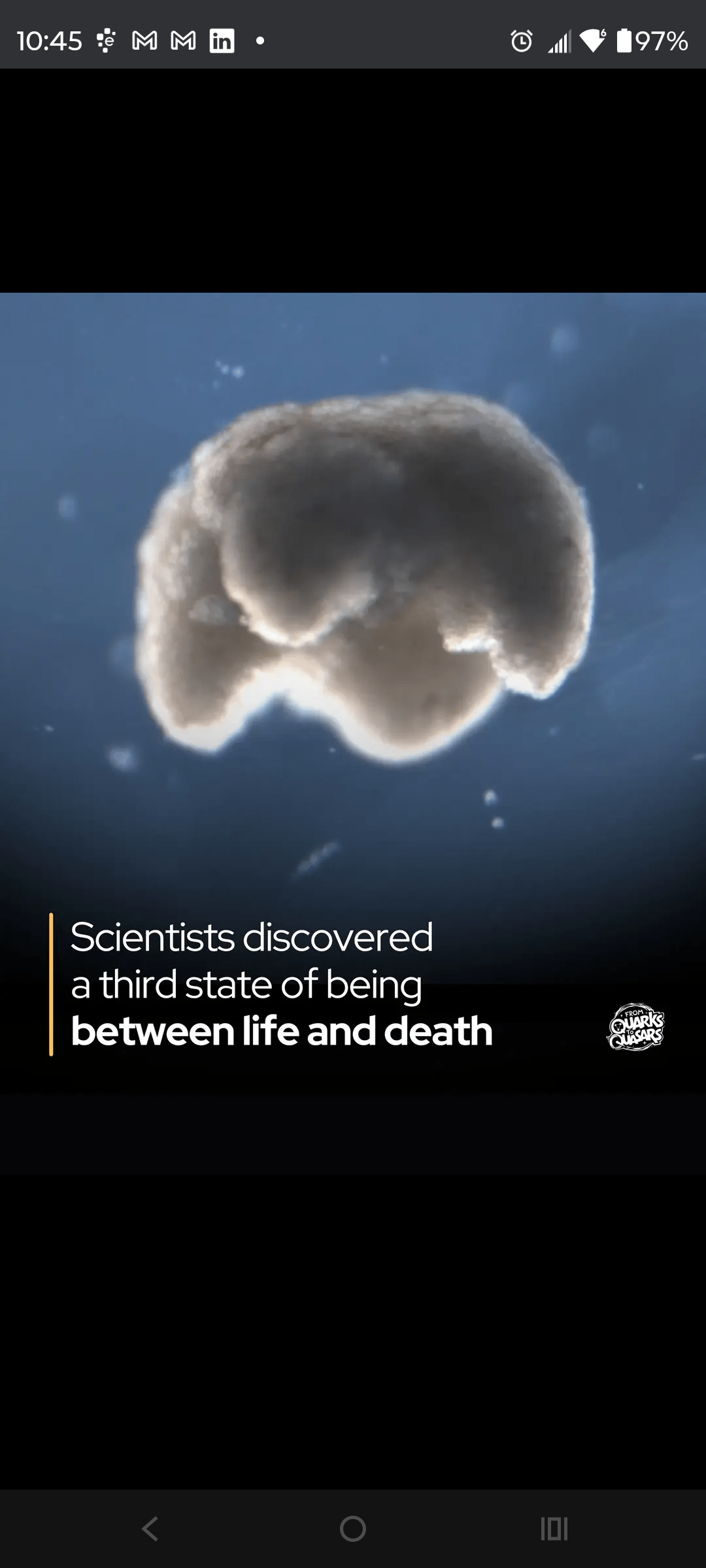 - Morgan Plantagenet: Ancestral Cryptology News