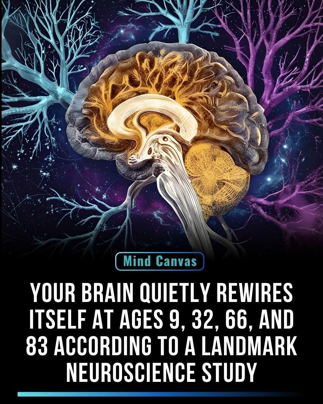 1000040594 - Morgan Plantagenet: Ancestral Cryptology News 1000040594