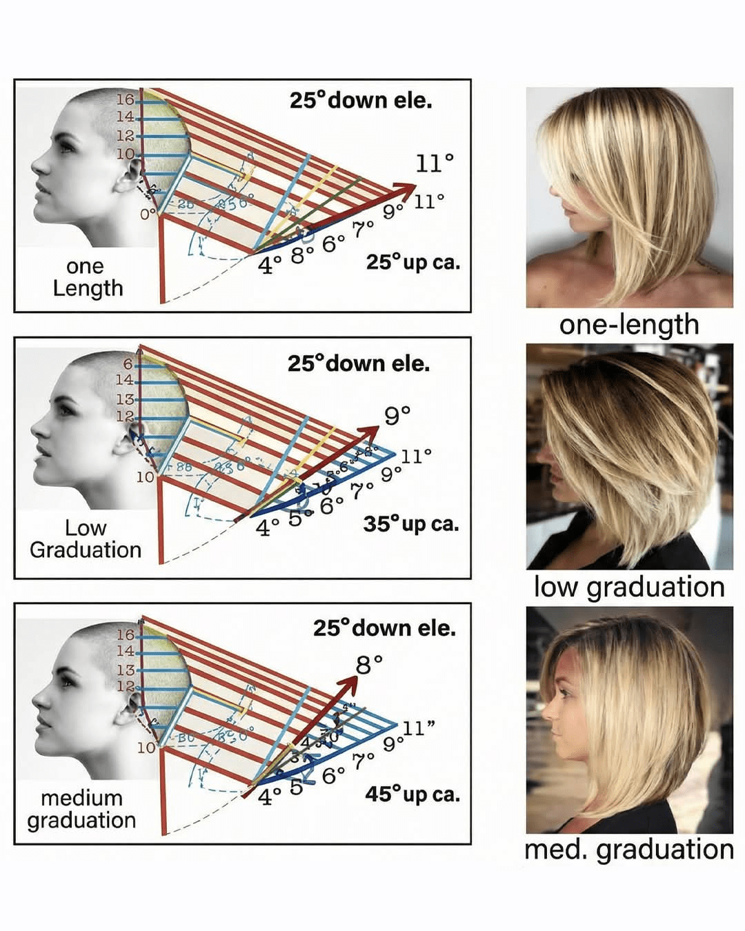 1000040797 - Morgan Plantagenet: Ancestral Cryptology News 1000040797