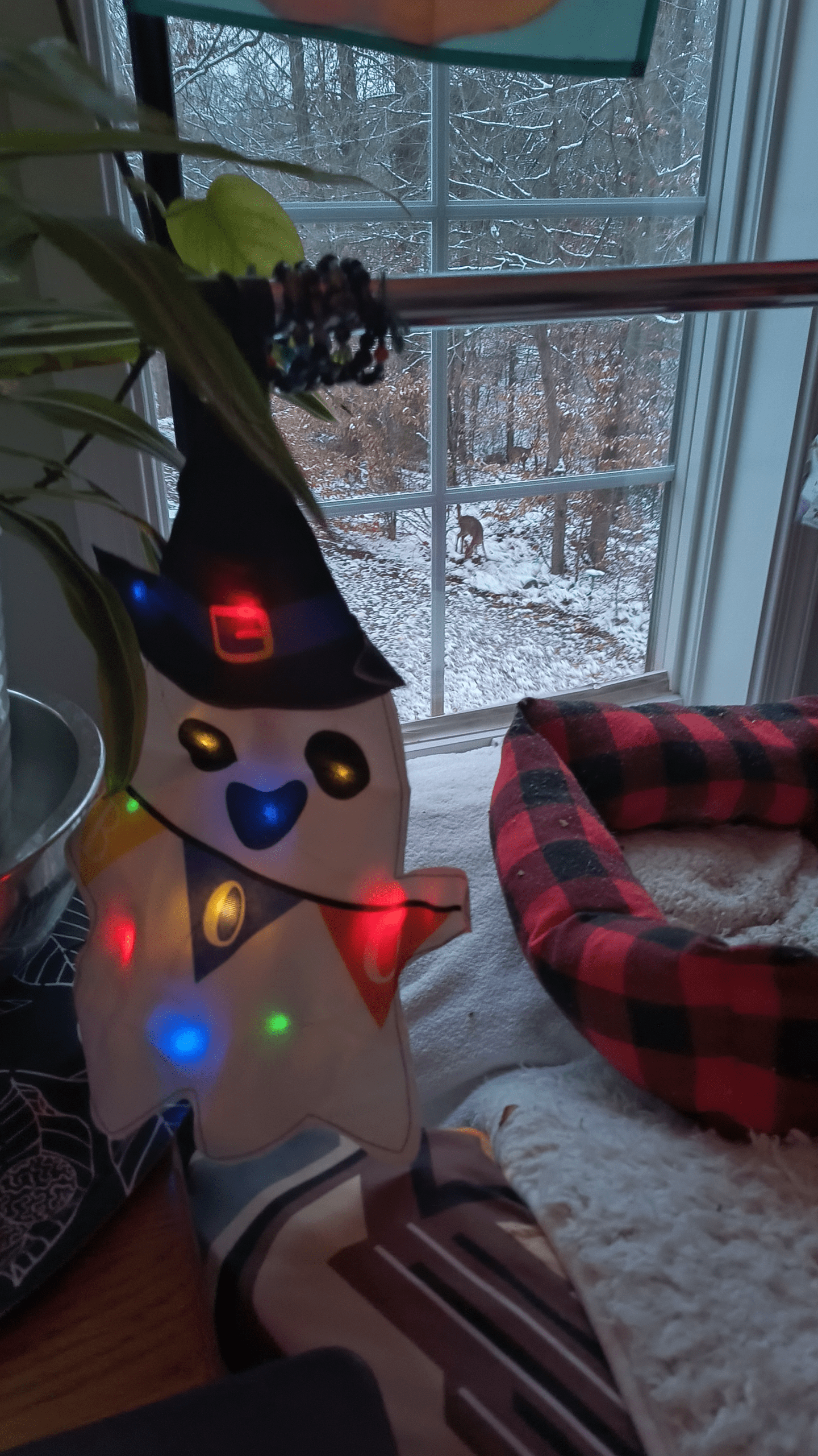 - Morgan Plantagenet: Ancestral Cryptology News