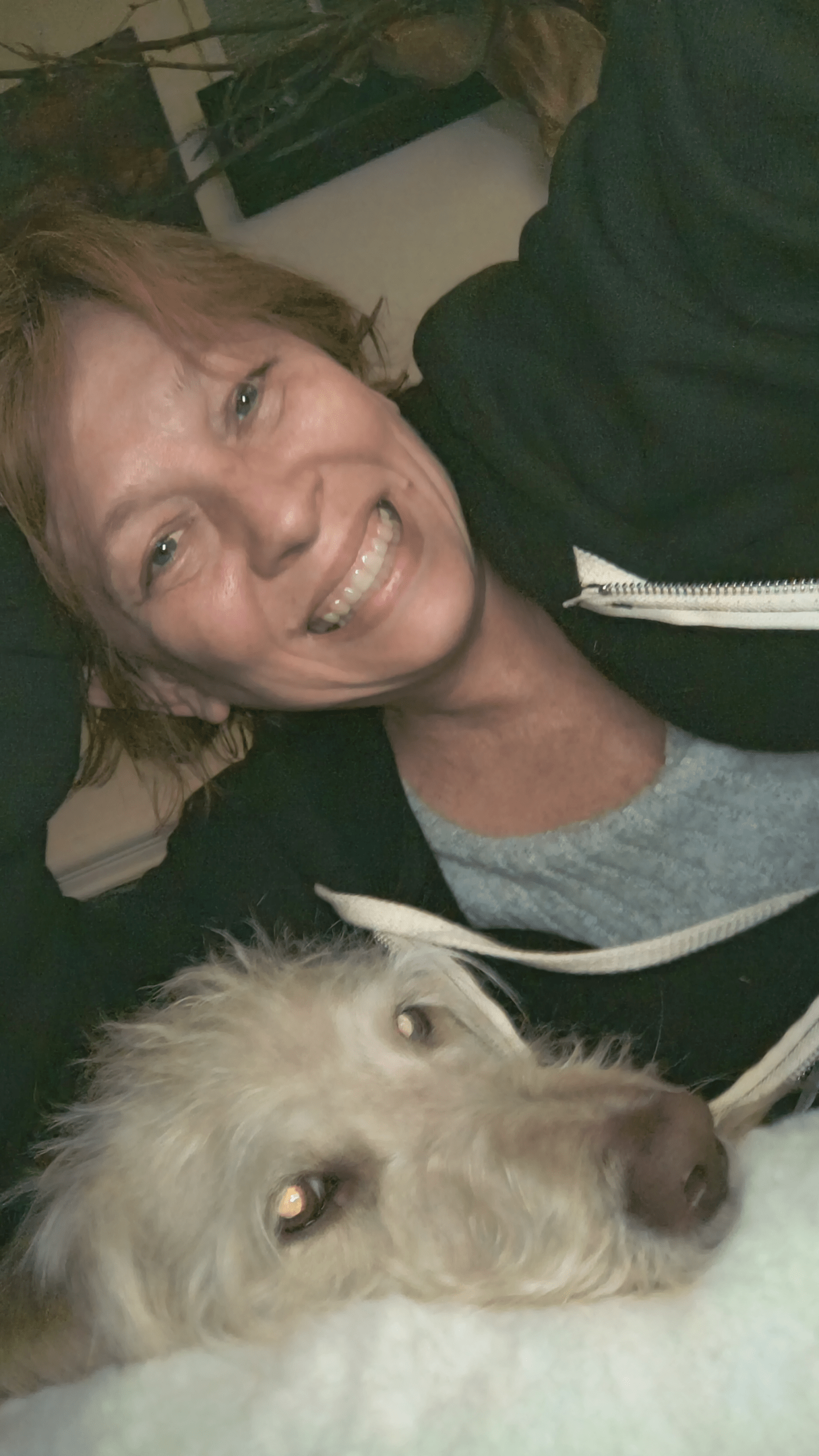 - Morgan Plantagenet: Ancestral Cryptology News