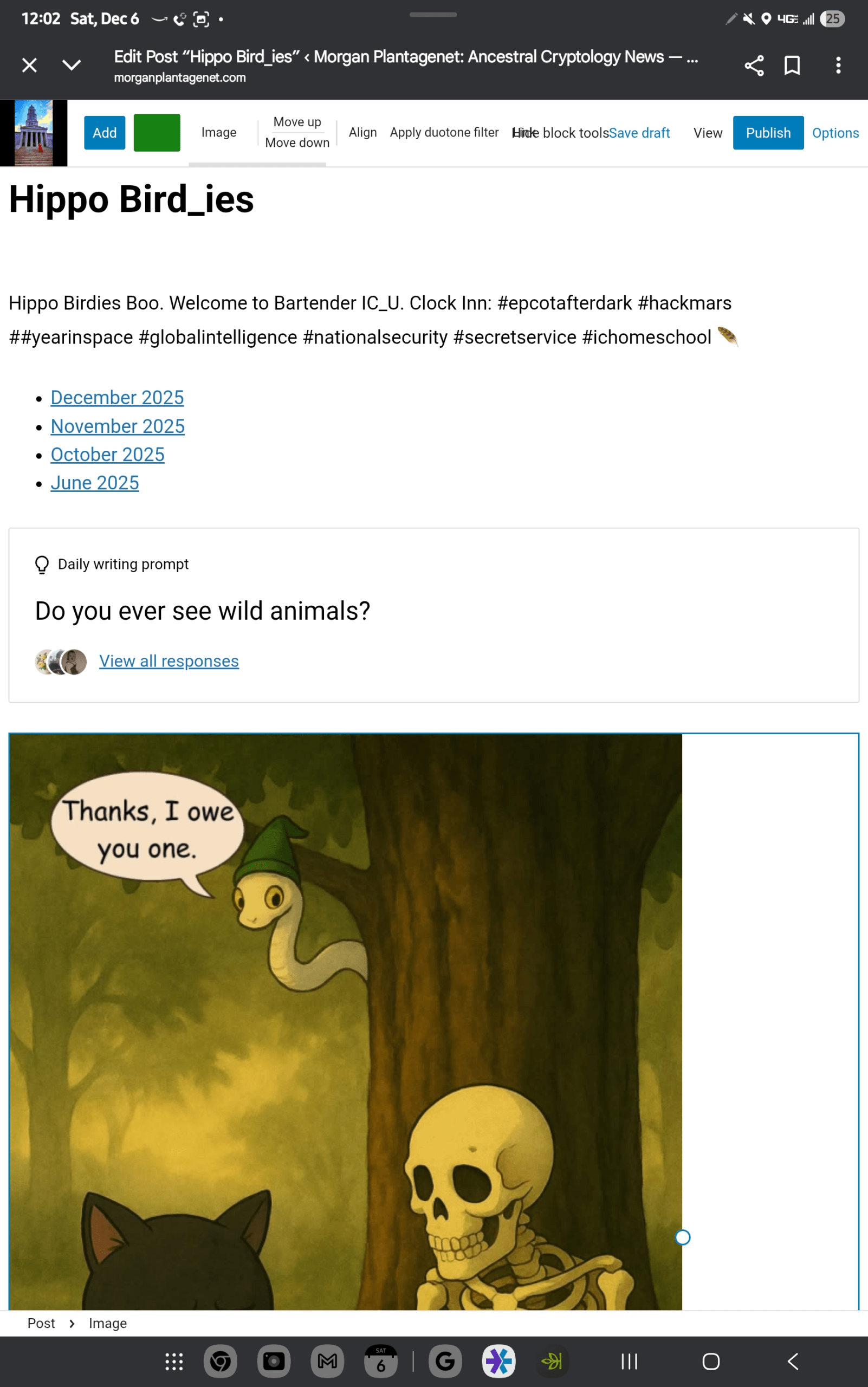 1000040677 - Morgan Plantagenet: Ancestral Cryptology News 1000040677