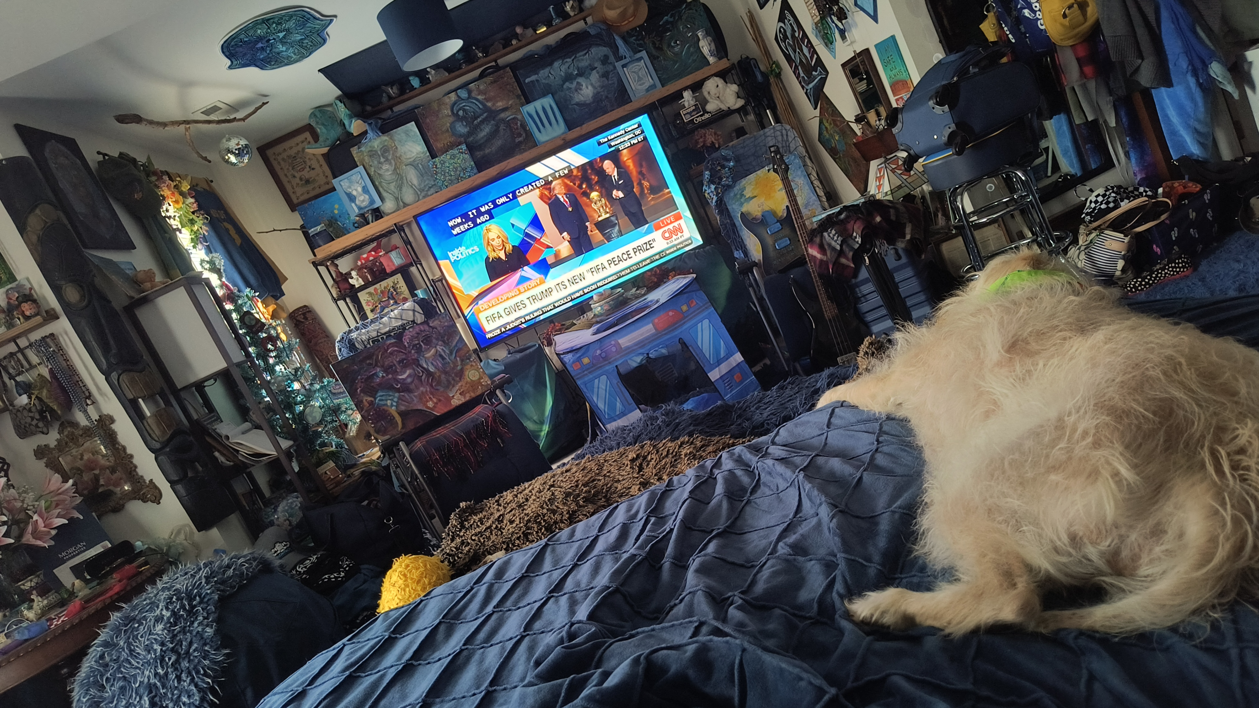 - Morgan Plantagenet: Ancestral Cryptology News