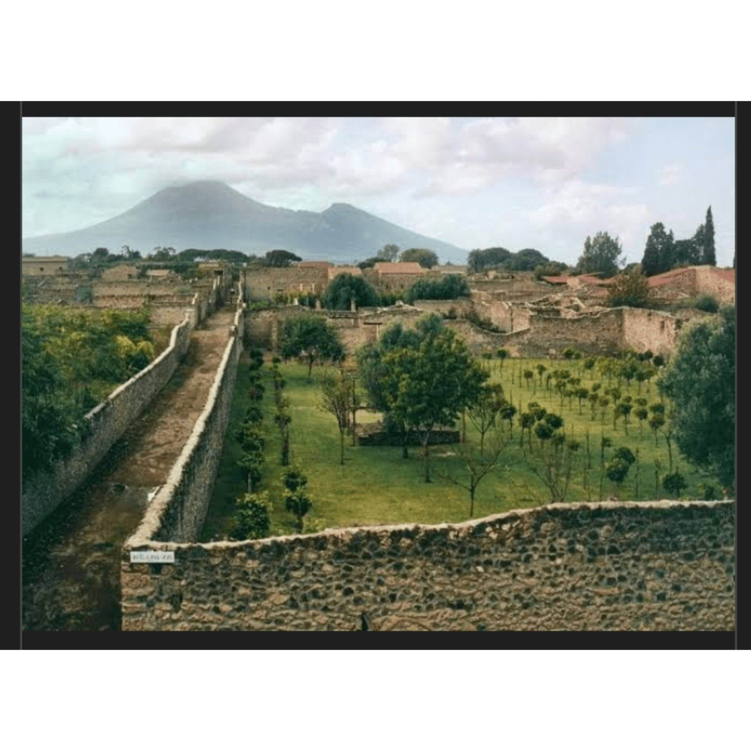 1000039159 scaled - Morgan Plantagenet: Ancestral Cryptology News 1000039159 scaled